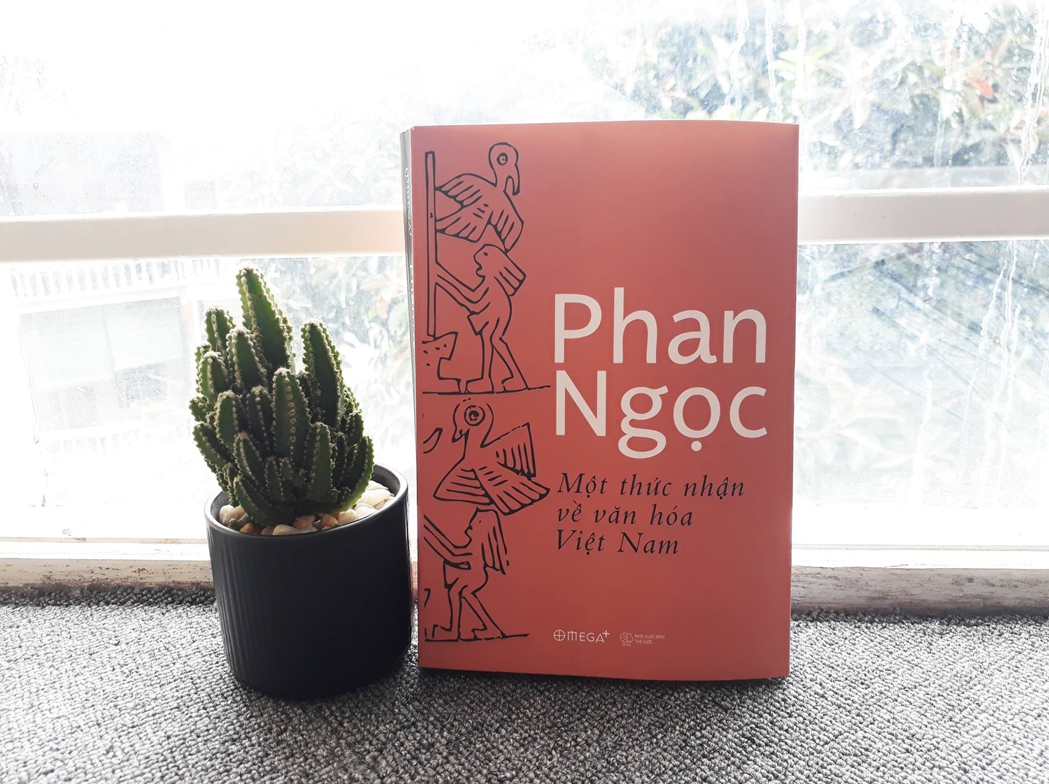 Sach cua nha nghien cuu Phan Ngoc anh 1