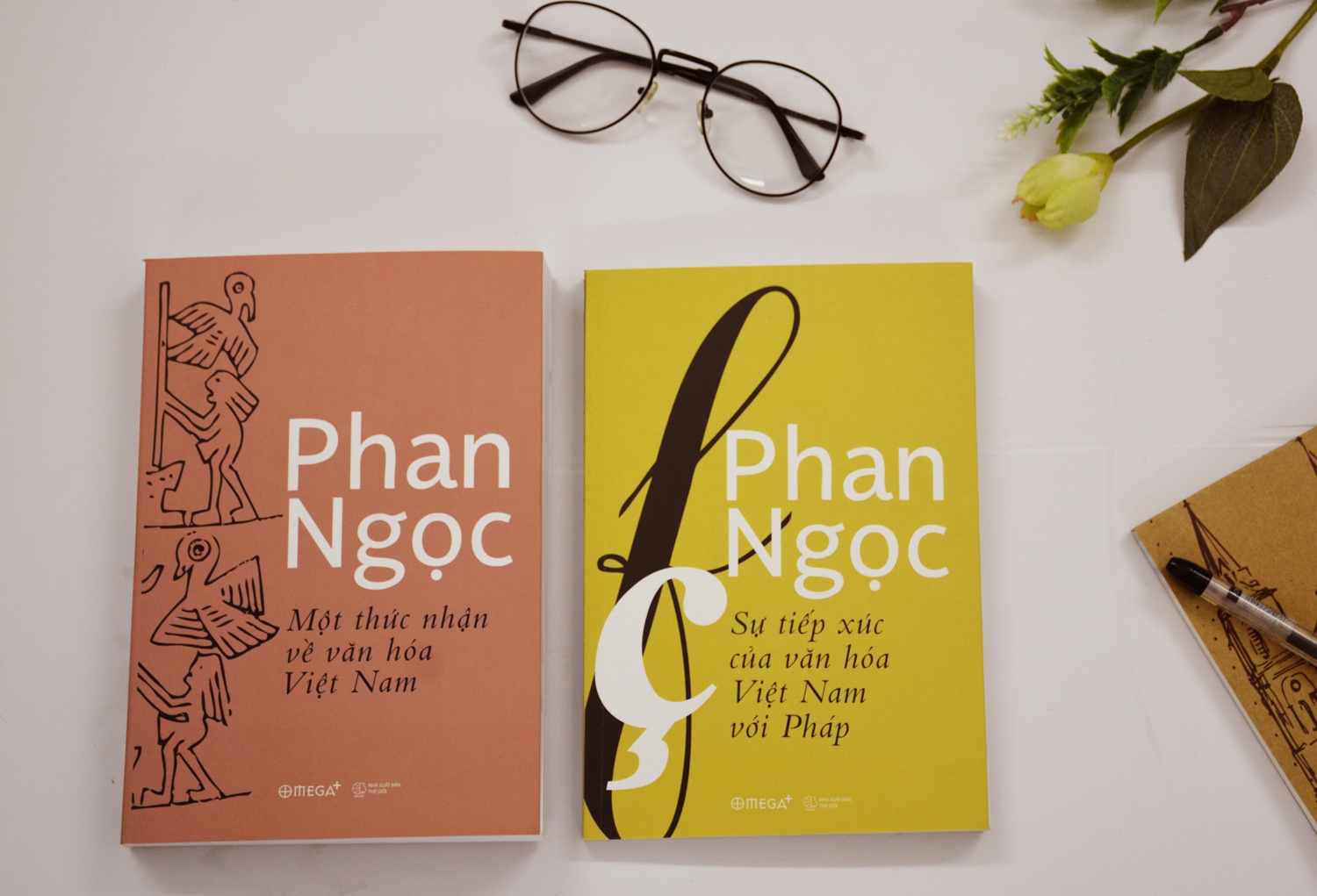 Ba cuon sach tam huyet ve van hoa, van chuong cua Phan Ngoc hinh anh