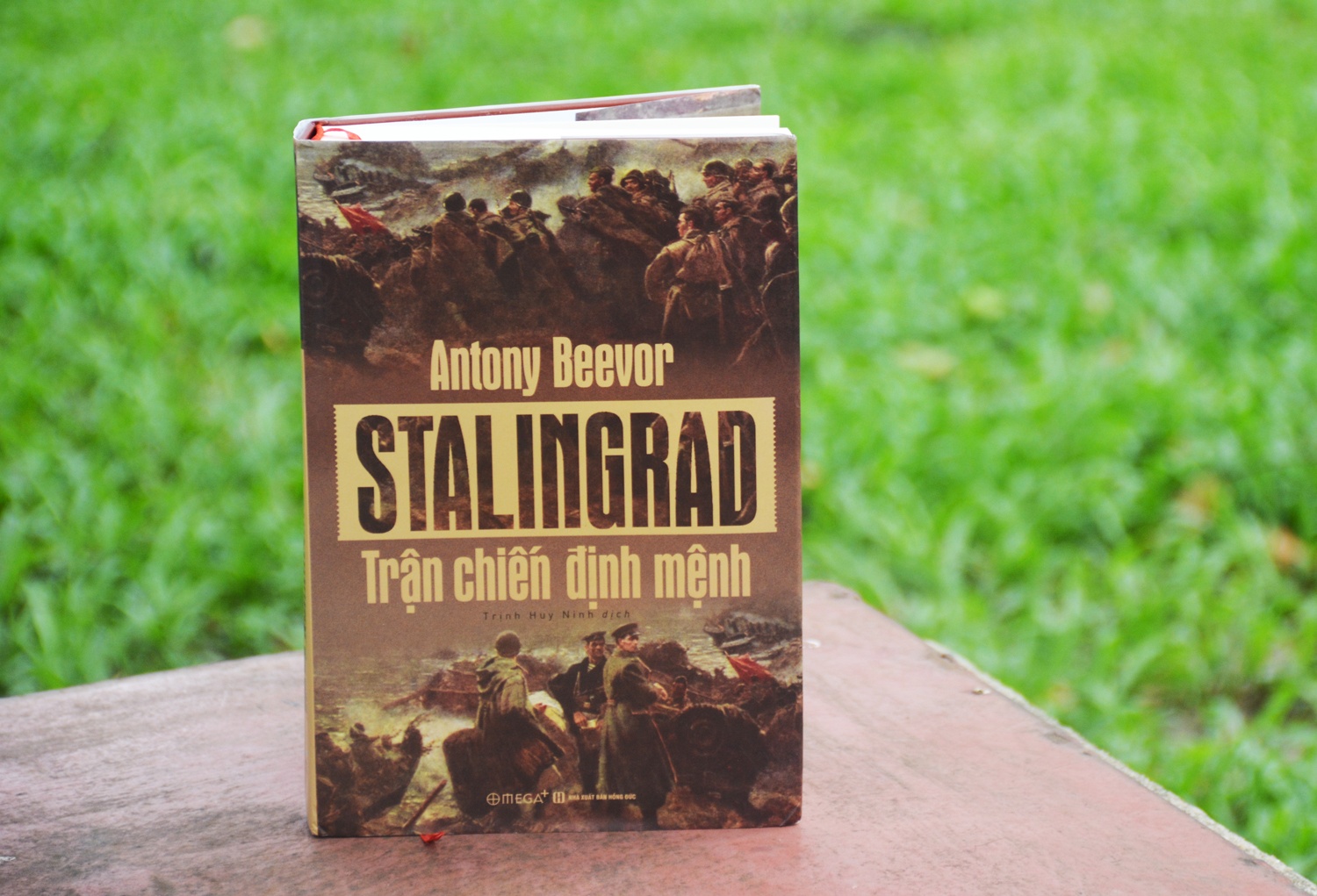 Tran chien dinh menh Stalingrad nhin tu khia canh con nguoi hinh anh