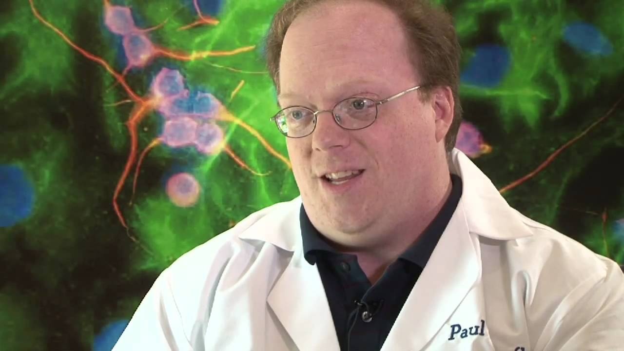 Te bao goc:Kham pha cung nha khoa hoc anh 2