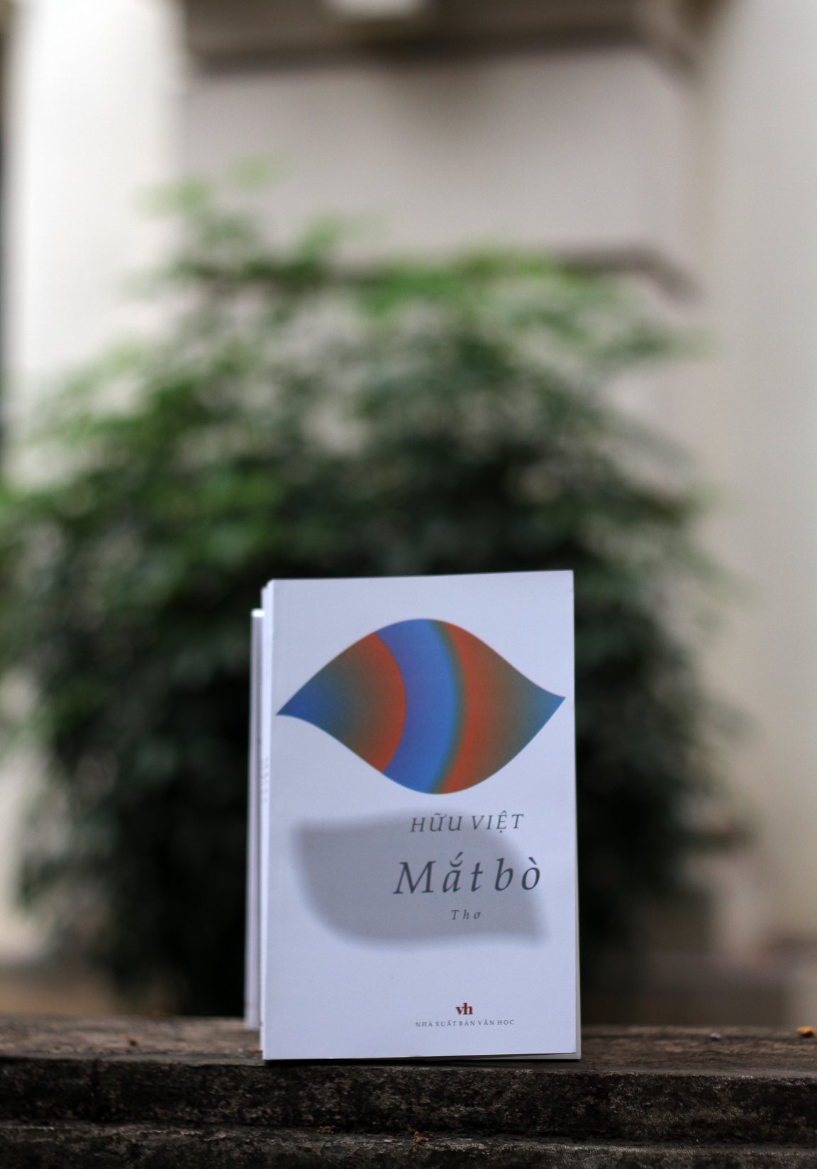 Hữu Việt nói về bài thơ "Gọi" ảnh 3 Huu Viet noi ve bai tho "Goi" anh 3