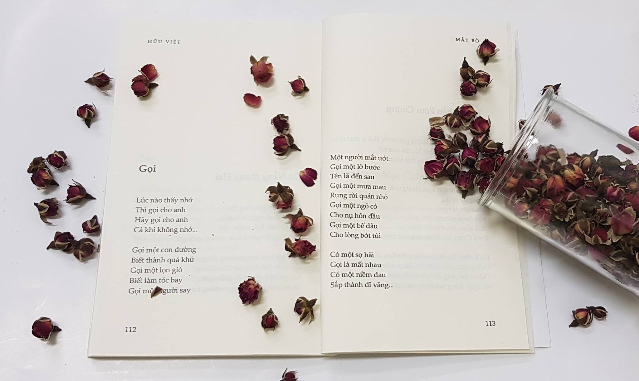 Hữu Việt nói về bài thơ "Gọi" ảnh 2 Huu Viet noi ve bai tho "Goi" anh 2