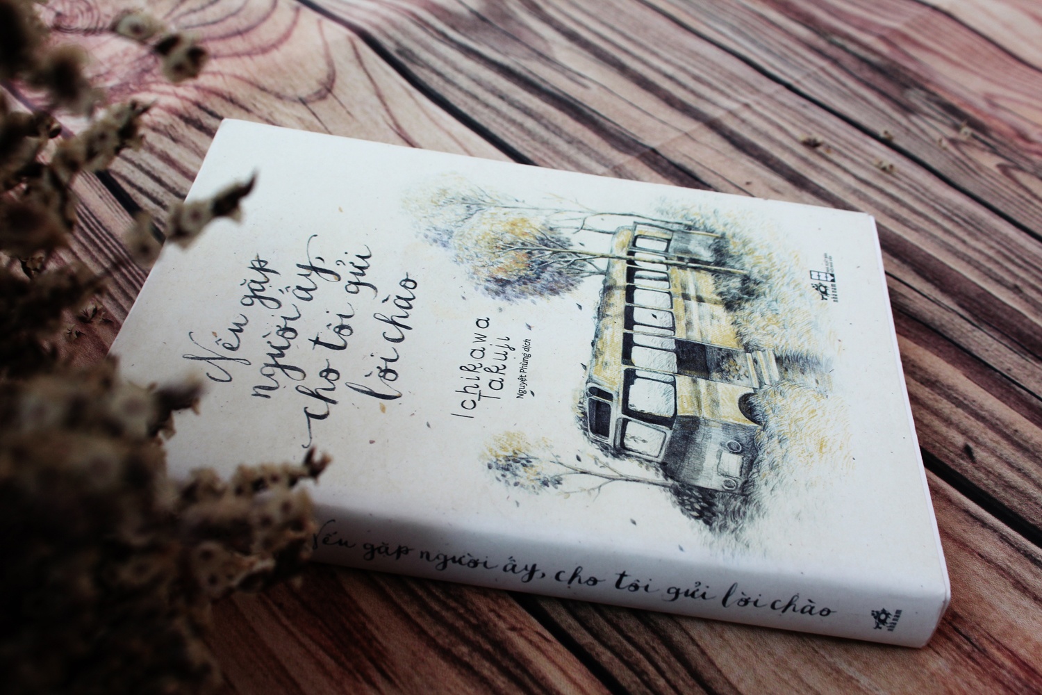 Mùa hè qua nhưng trang sách trẻ ảnh 4 Mua he qua nhung trang sach tre anh 4