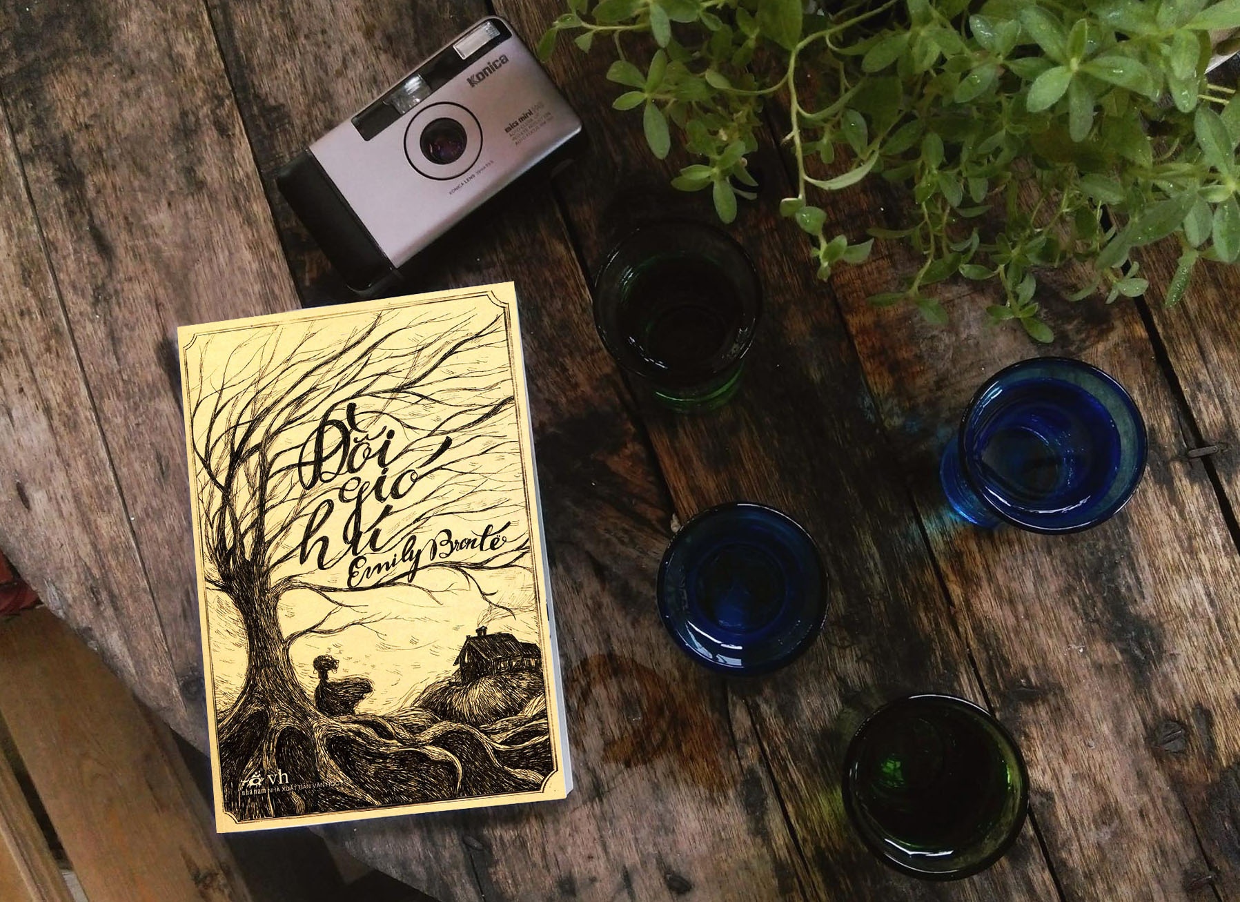 Giac mong dem he cua van chuong Anh anh 2