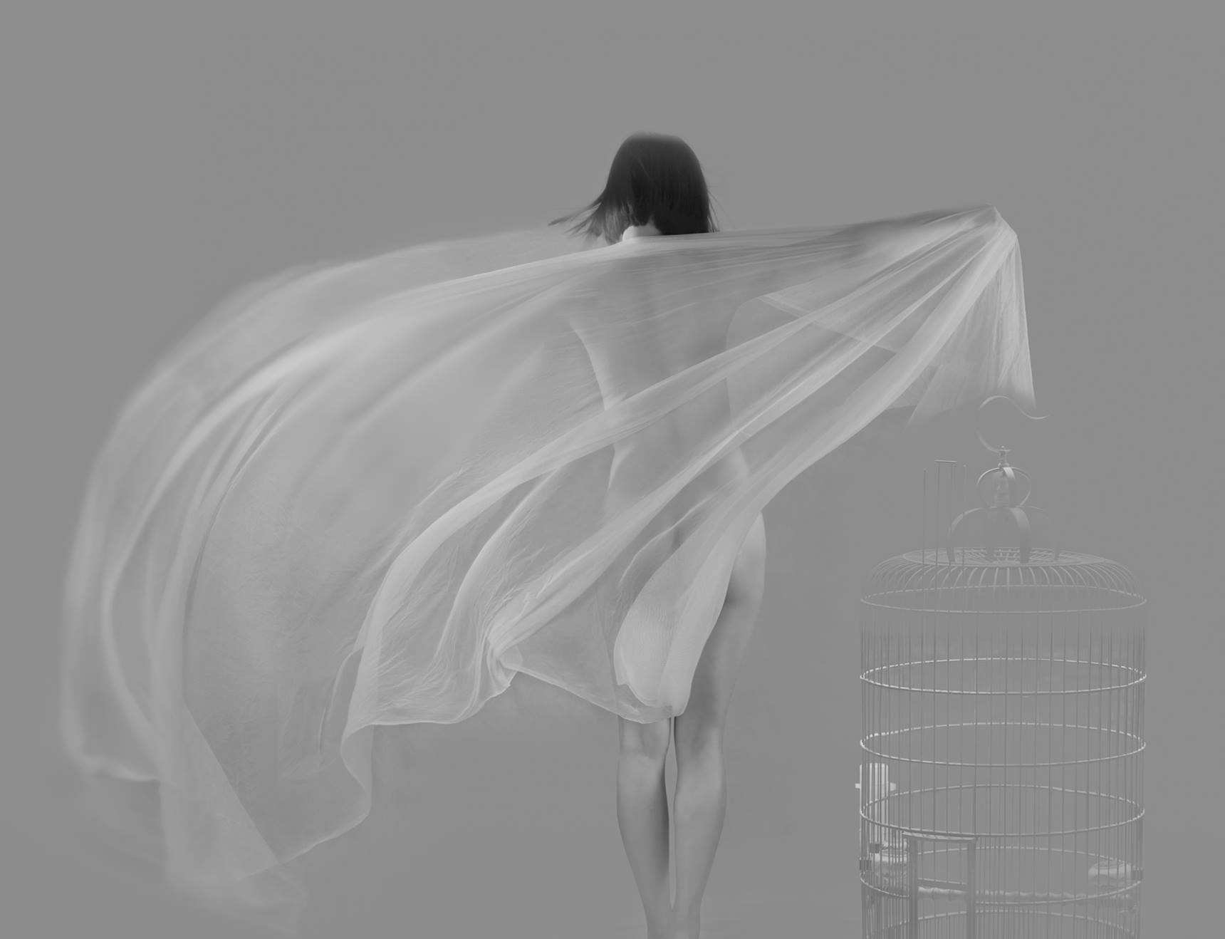 Co gi trong trien lam anh khoa than nghe thuat dau tien o Ha Noi? hinh anh