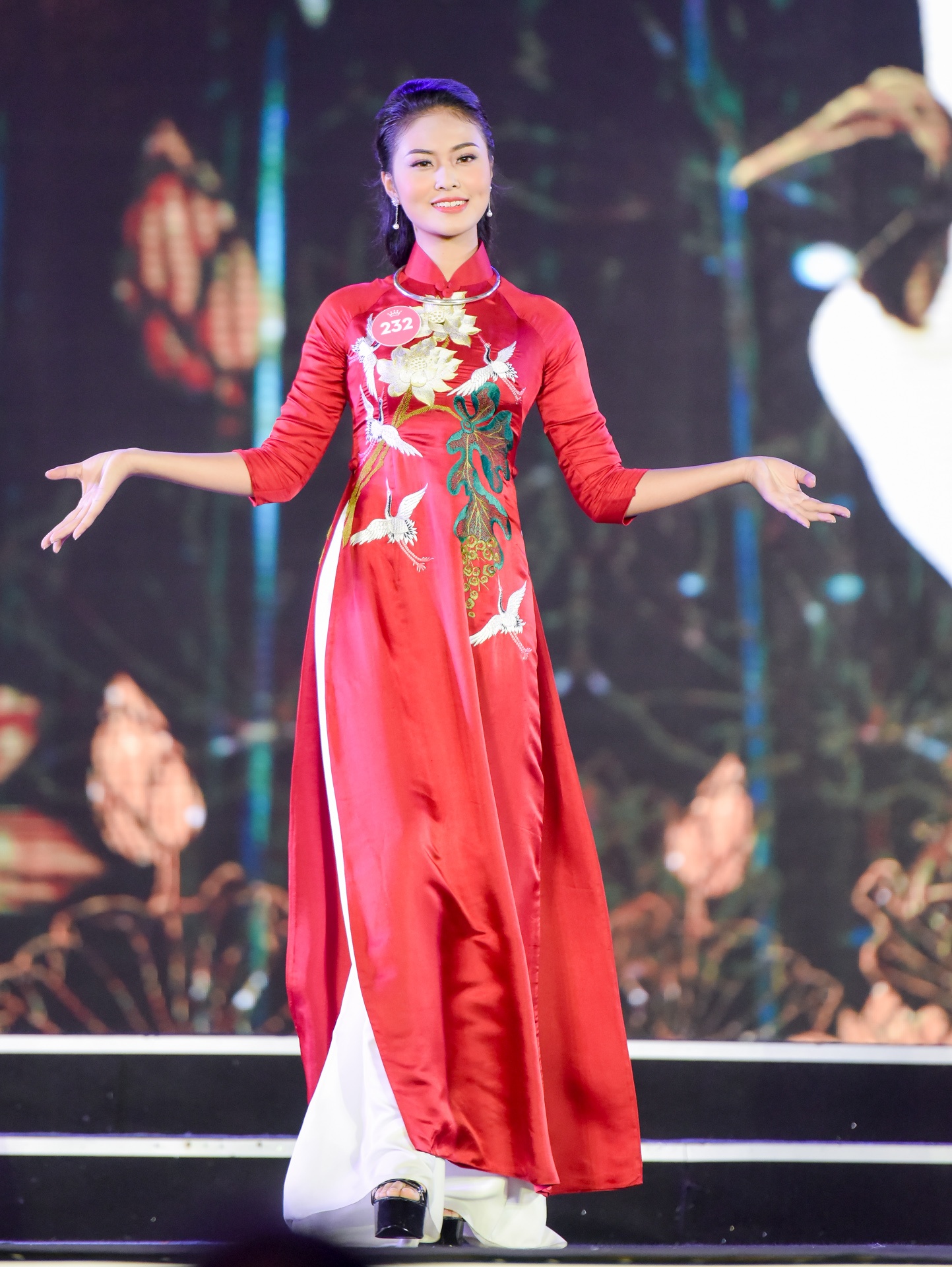 Hoa hau Viet Nam mien Bac thi ao dai anh 9