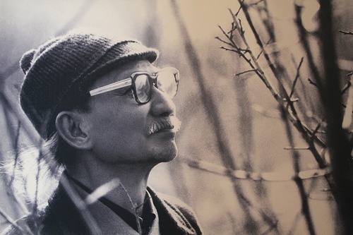 Hinh anh John McCain trong tuy but Nguyen Tuan anh 2