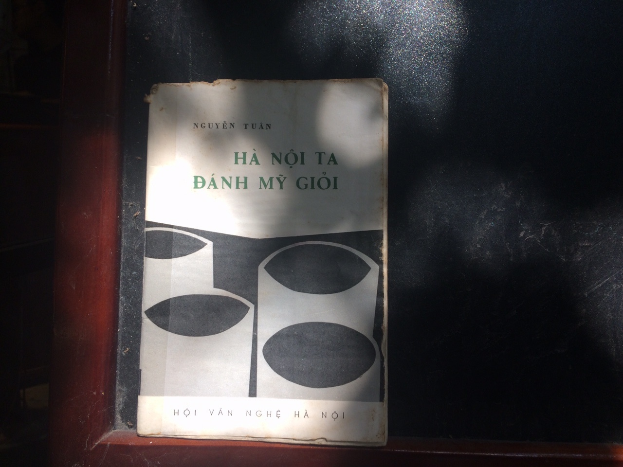 Hinh anh John McCain trong tuy but Nguyen Tuan anh 3
