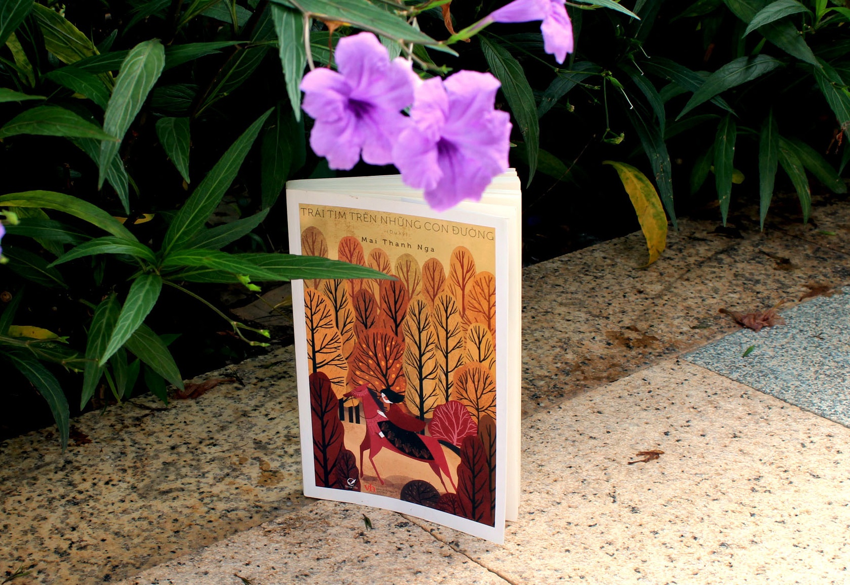 Du lịch qua những trang sách ảnh 1 Du lich qua nhung trang sach anh 1