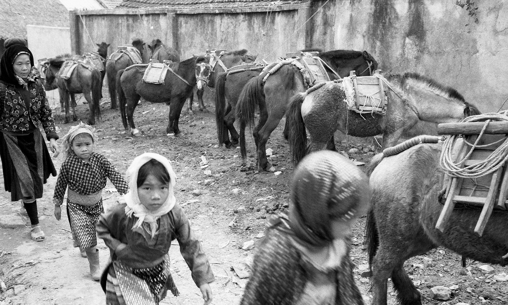 Nhung buc anh biet noi ve vung cao Dong Van anh 11