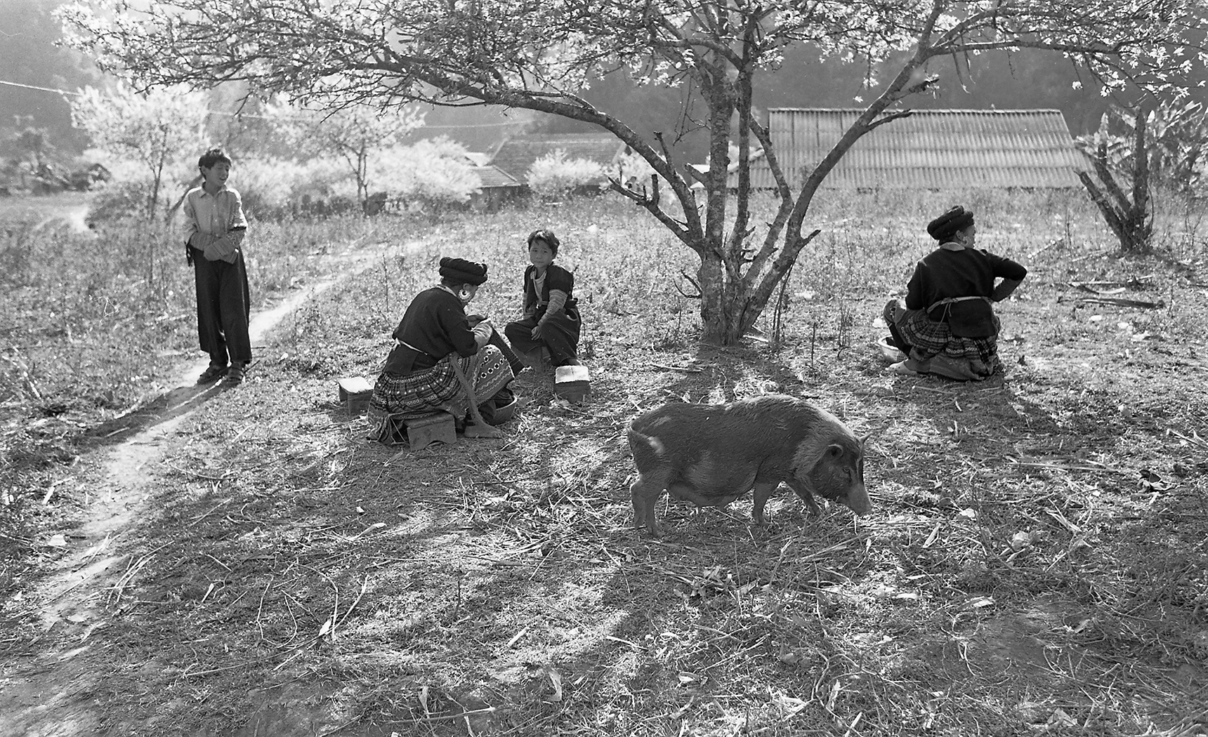 Nhung buc anh biet noi ve vung cao Dong Van anh 2