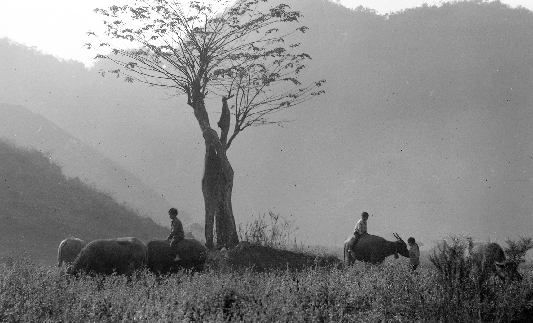 Nhung buc anh biet noi ve vung cao Dong Van anh 9