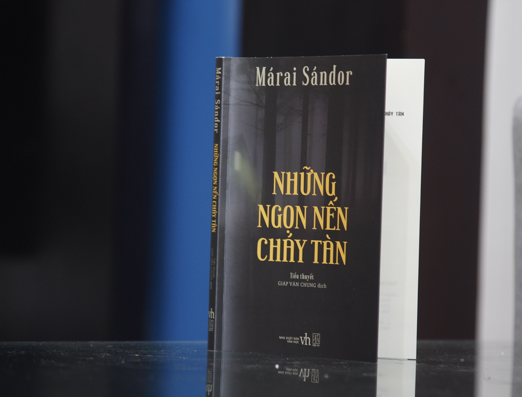 Cuoc doi bi tham cua Marai Sandor anh 2