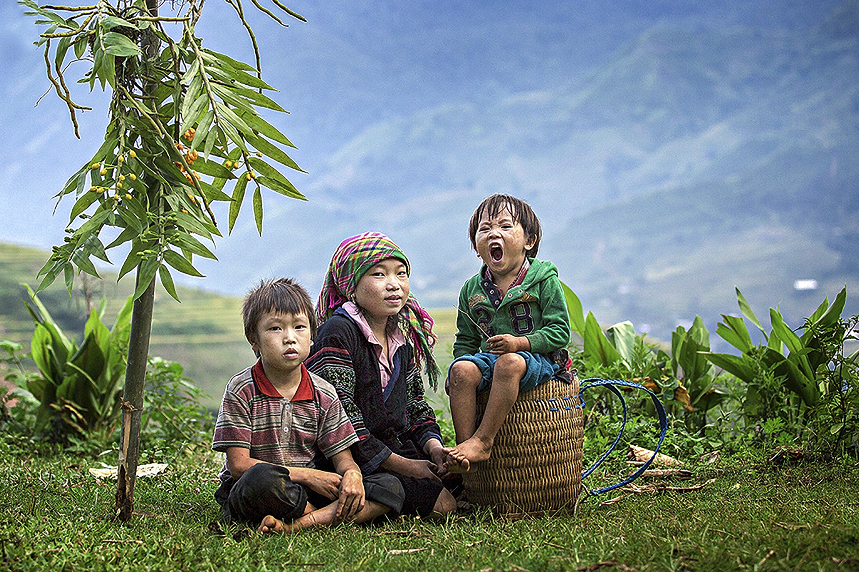 Trien lam "Nhung cung bac cam xuc" anh 6