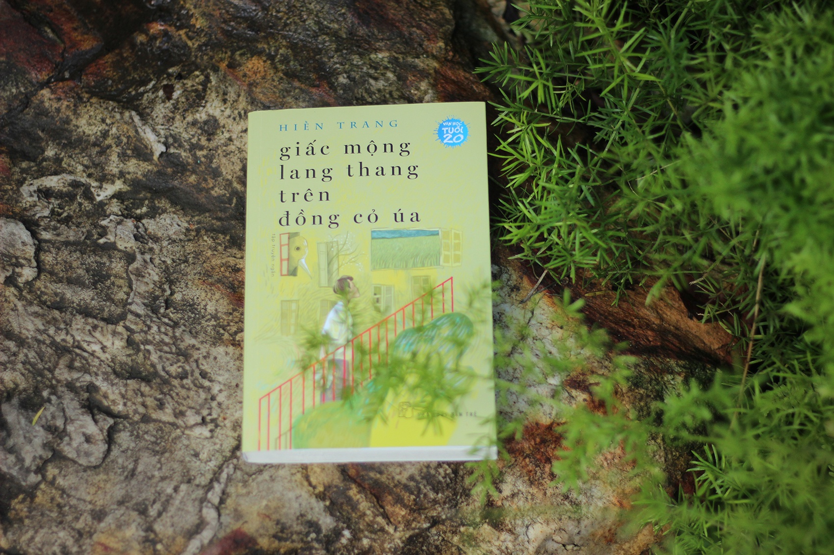 9 tac pham dat giai Van hoc Tuoi 20 anh 4