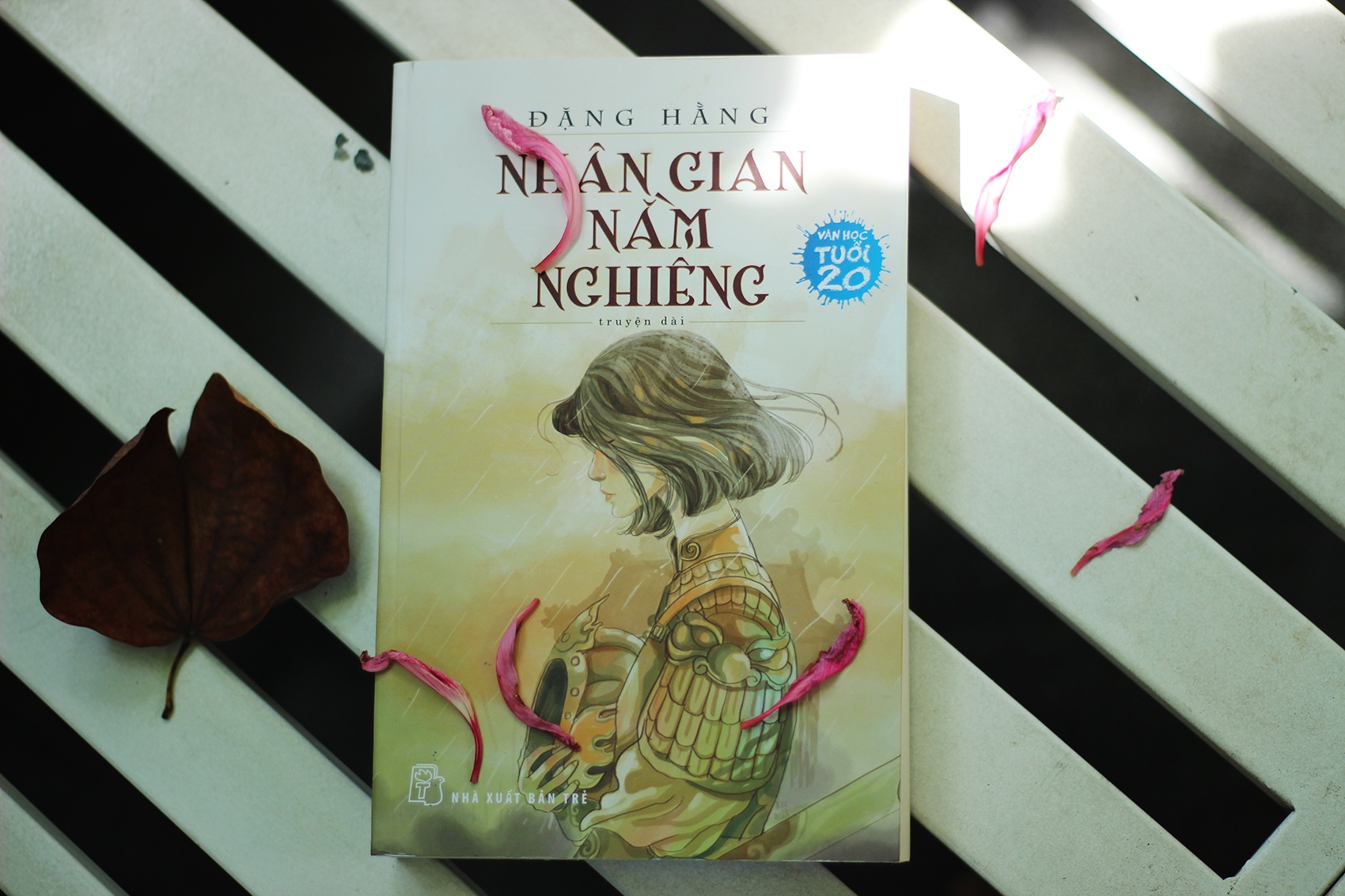 9 tac pham dat giai Van hoc Tuoi 20 anh 6