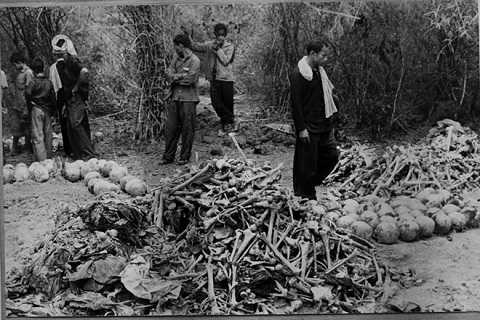 Toi ac kinh hoang cua quan Pol Pot qua ky uc nguoi An Giang hinh anh