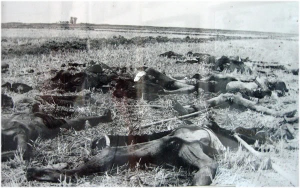 Nguoi dan ong co hon 200 nguoi than bi Pol Pot sat hai hinh anh