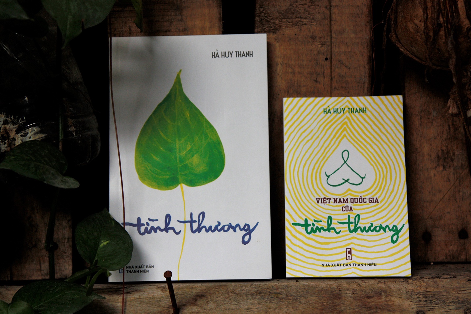 Tinh thuong co la giai phap cho moi van de trong cuoc song? hinh anh