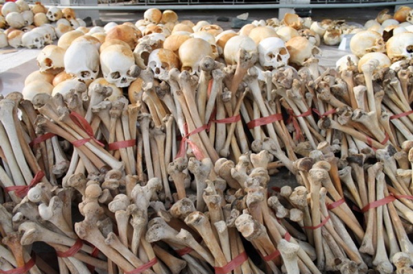 Võ Diệu Thanh và ám ảnh về họa diệt chủng Pol Pot ảnh 3 Vo Dieu Thanh va am anh ve hoa diet chung Pol Pot anh 3