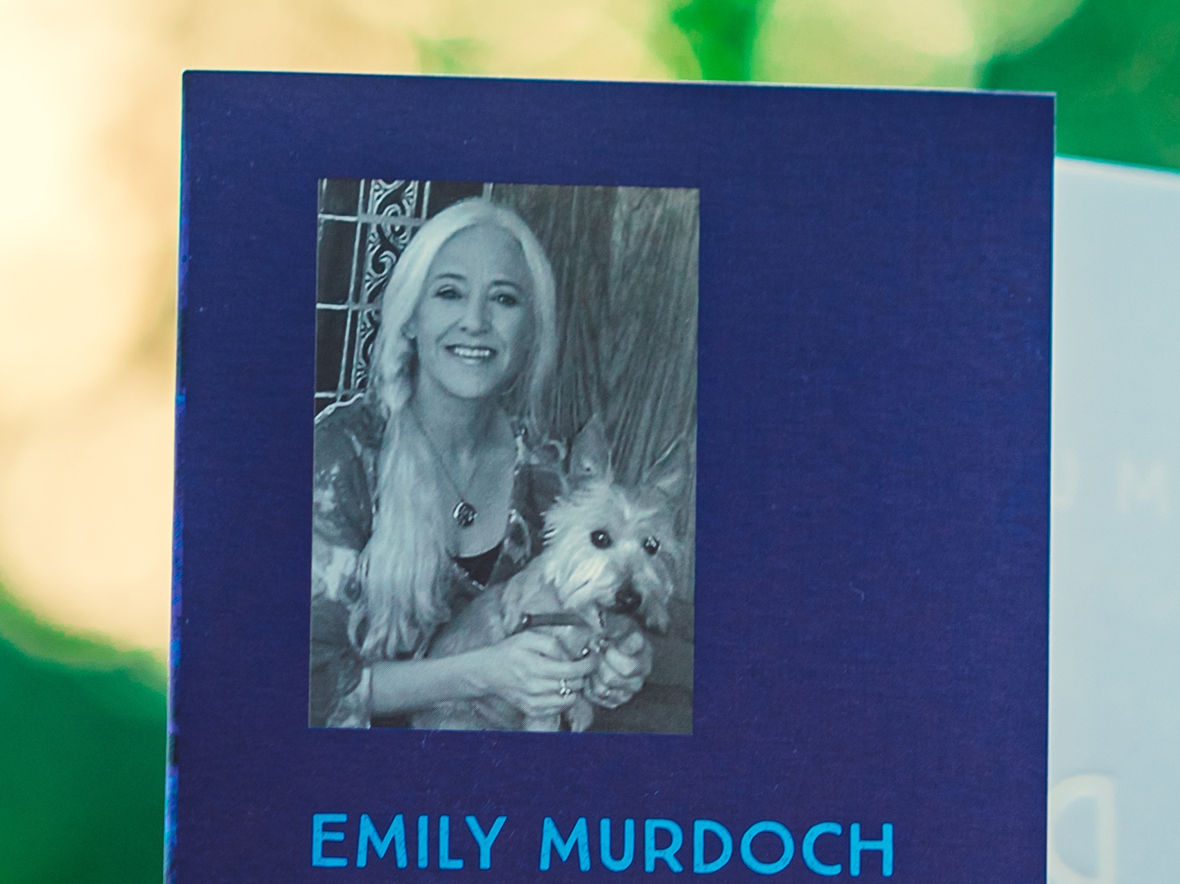 Tieu thuyet lay dong ve hanh trinh truong thanh anh 2