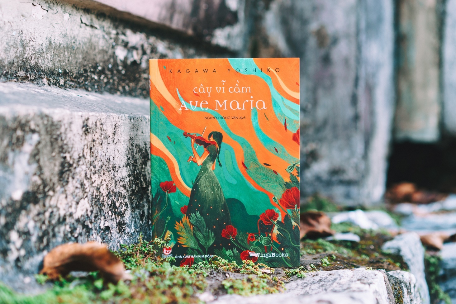 Cay vi cam Ave Maria hay am nhac cuu roi con nguoi anh 2