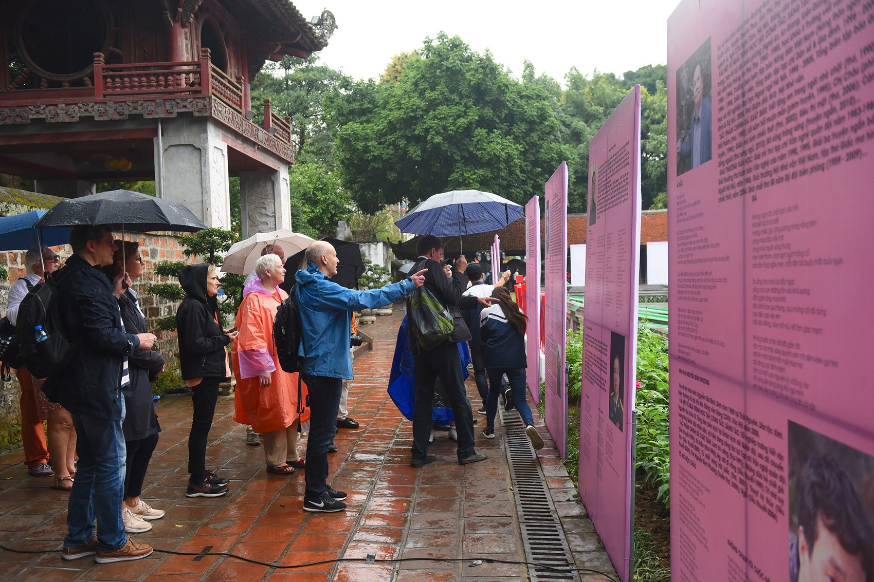 Ngay tho 2019 dam trong mua anh 1