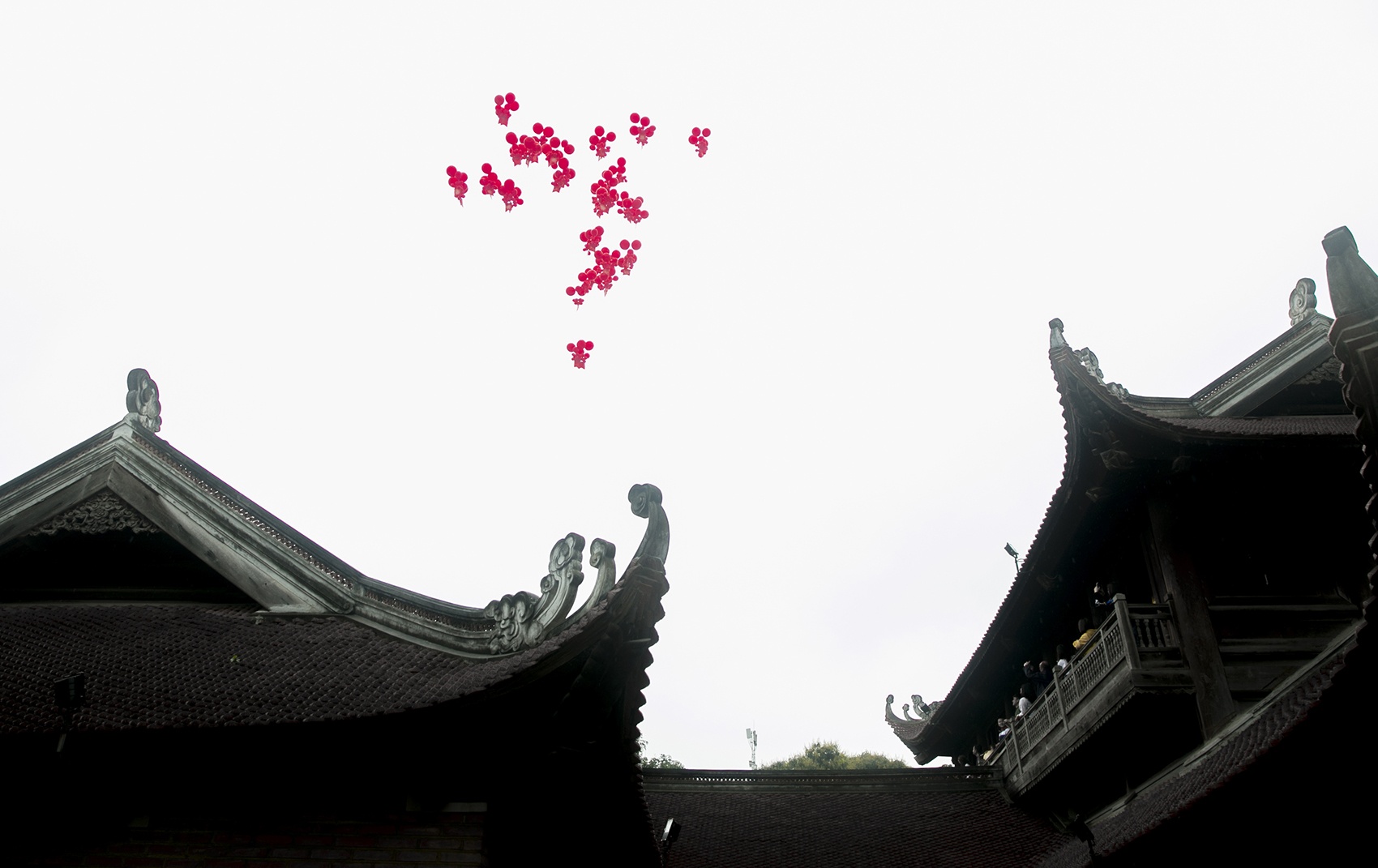 Ngay tho 2019 dam trong mua anh 10