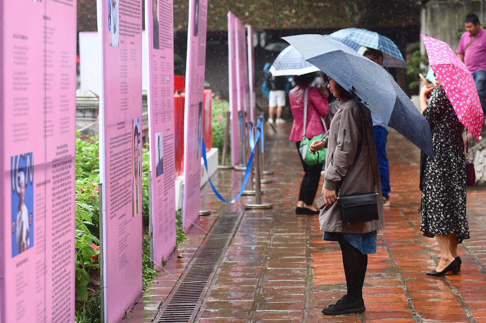 Ngay tho 2019 dam trong mua anh 11