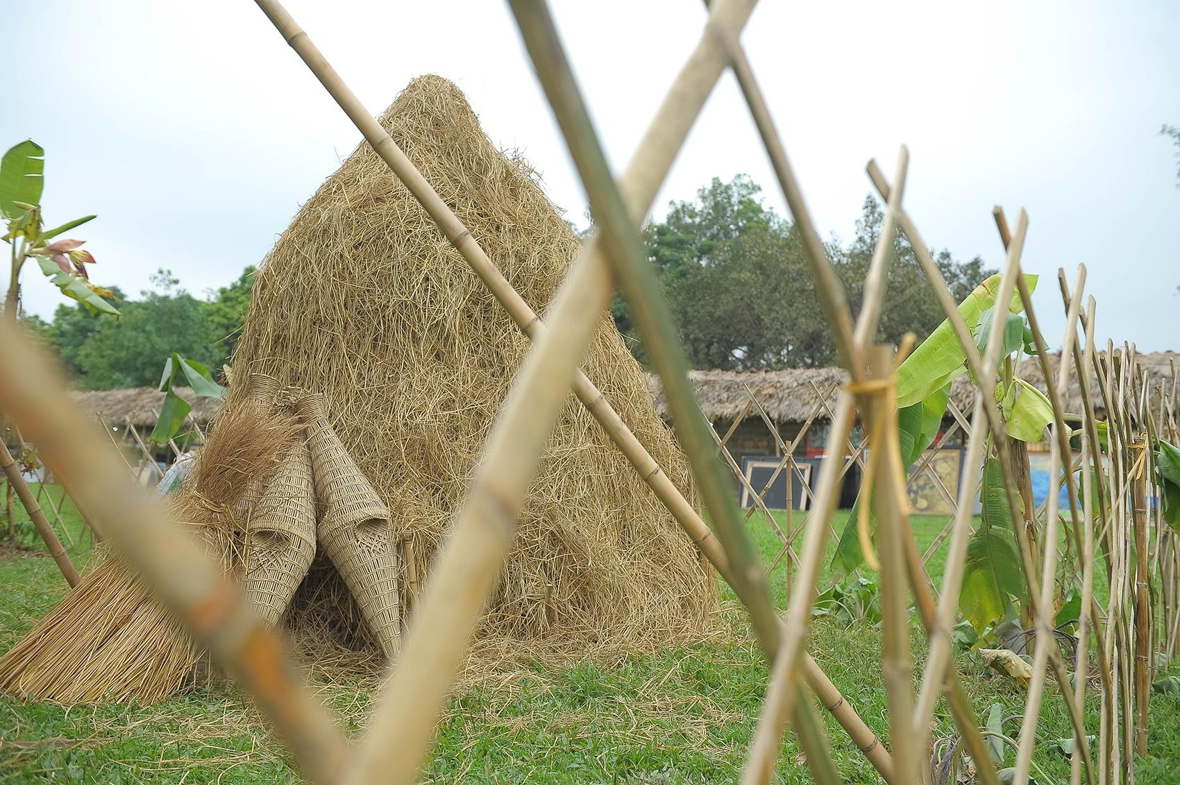 festival van hoa anh 5