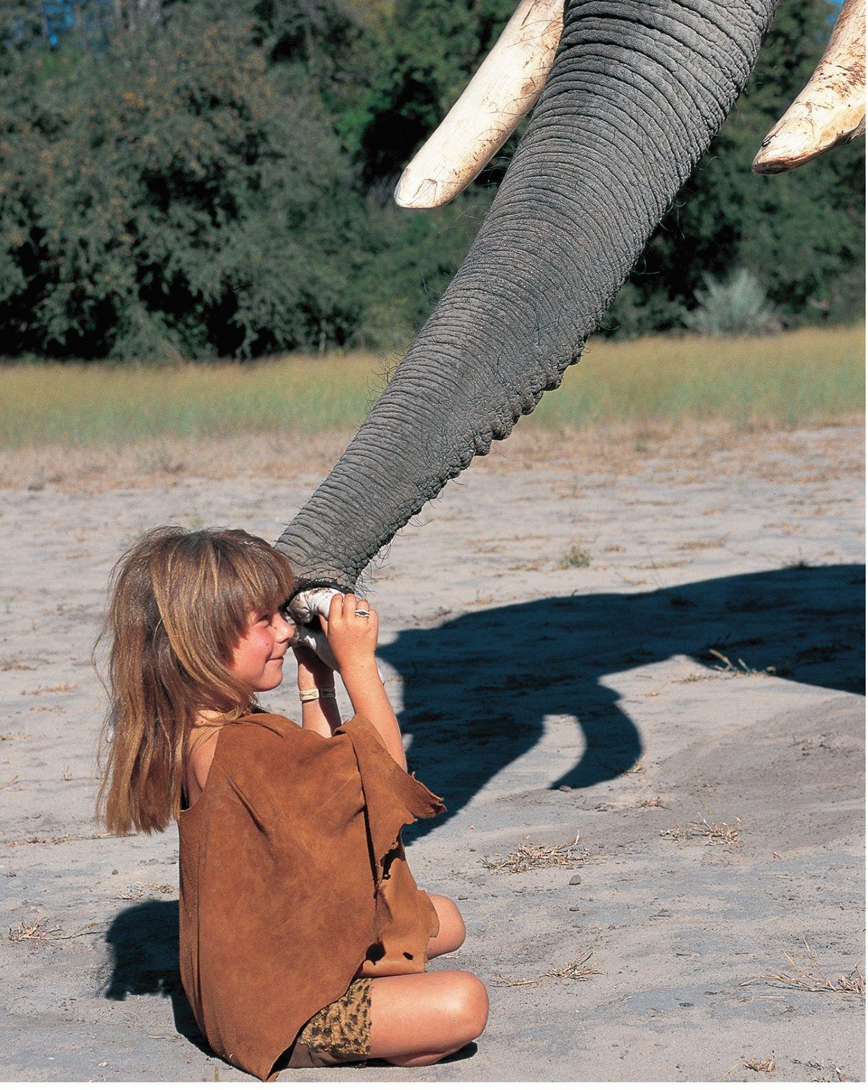 Co be goc Phap lon len giua thien nhien hoang da anh 1