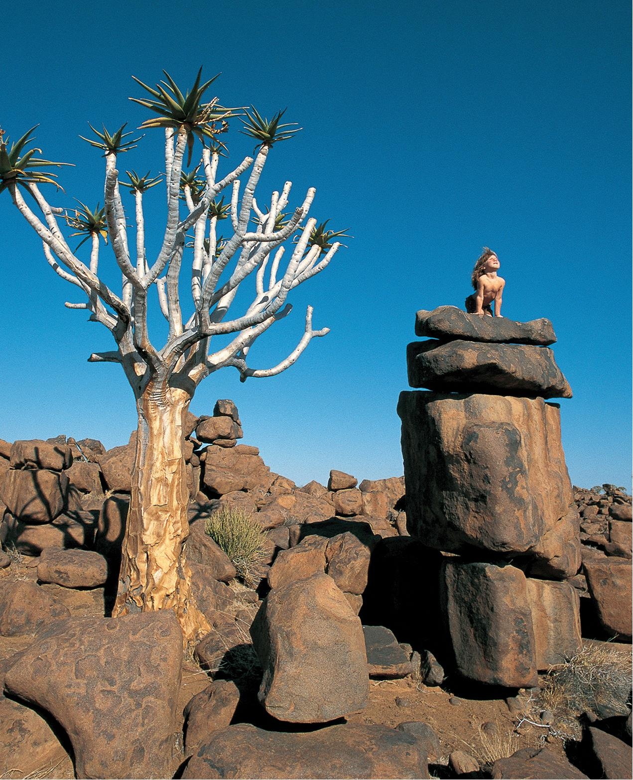 Co be goc Phap lon len giua thien nhien hoang da anh 4