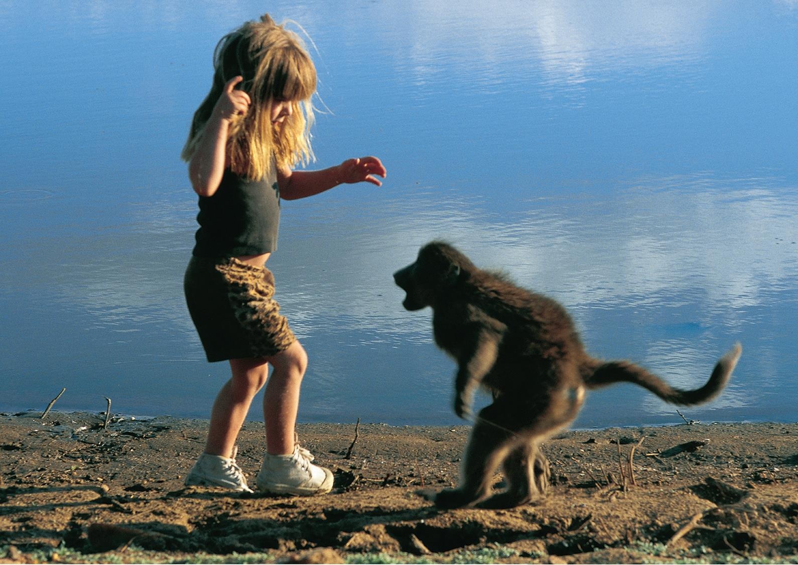 Co be goc Phap lon len giua thien nhien hoang da anh 5