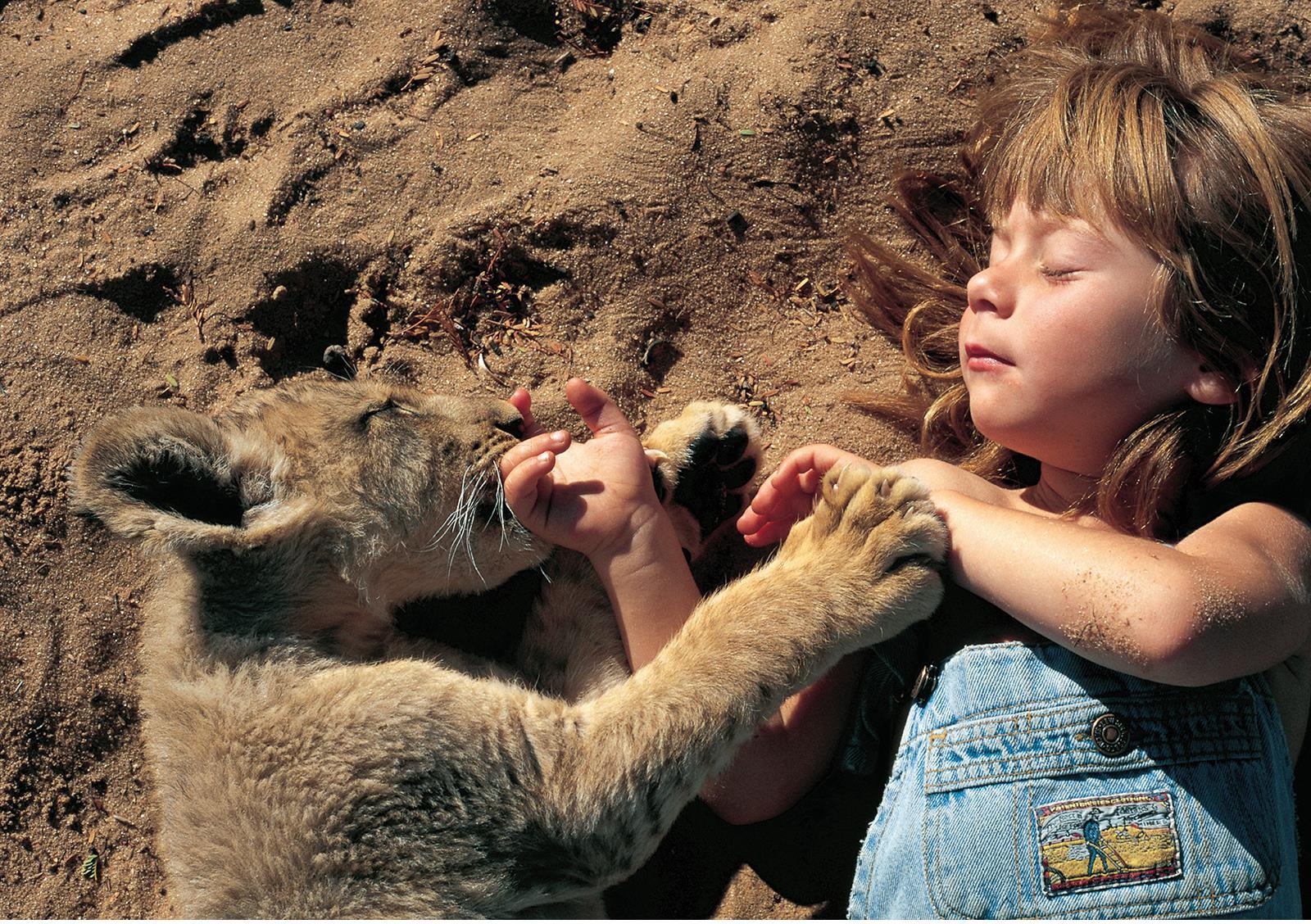Co be goc Phap lon len giua thien nhien hoang da anh 7
