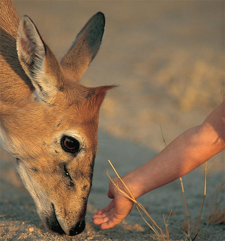 Co be goc Phap lon len giua thien nhien hoang da anh 8