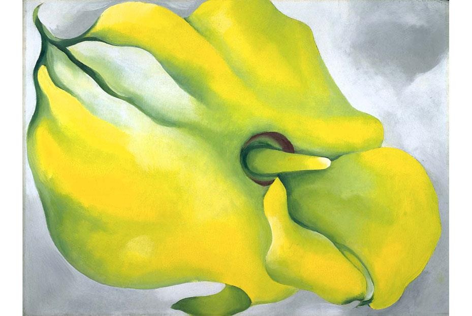 Cuoc doi danh hoa O'Keeffe anh 2