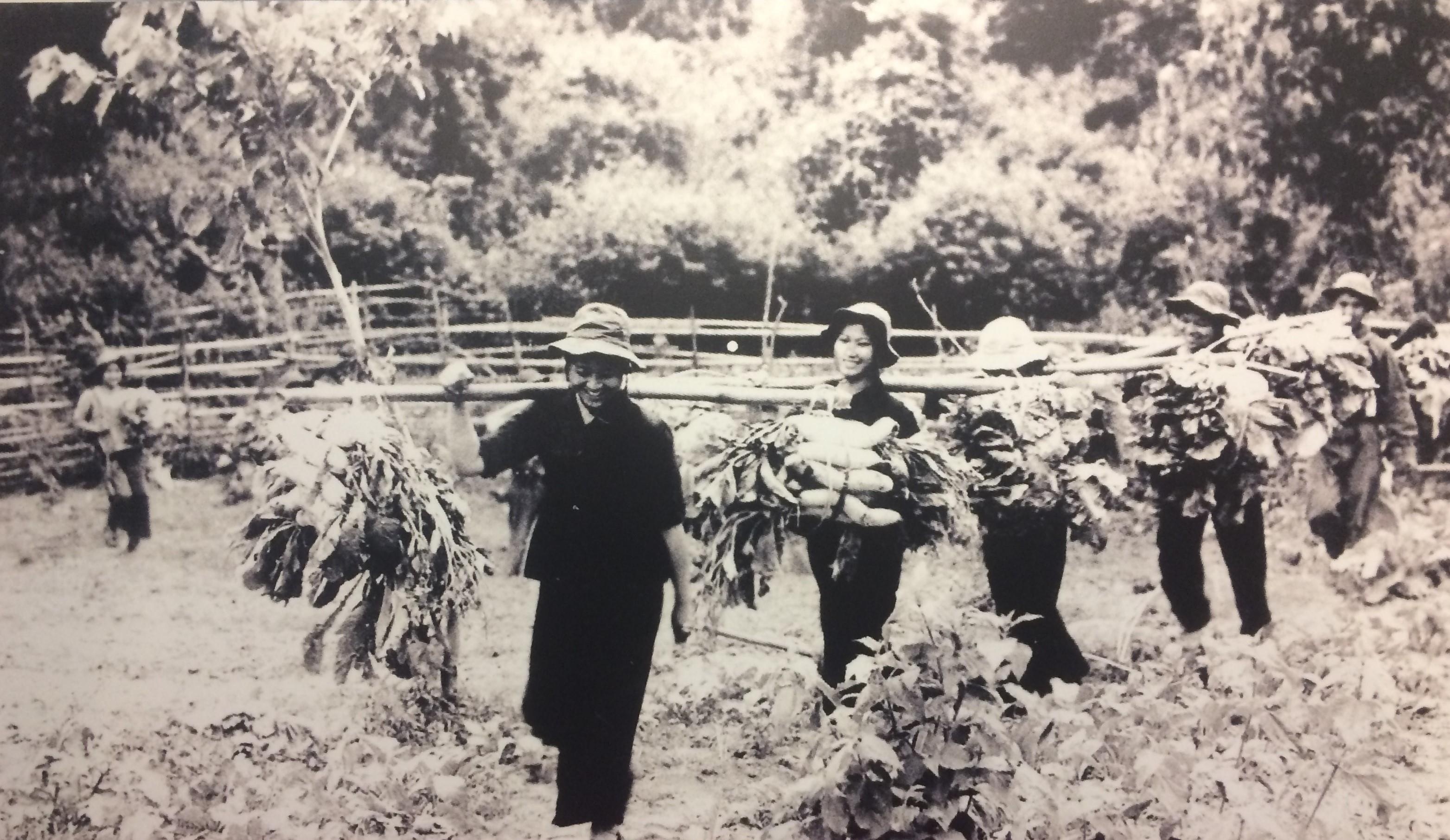 Triển lãm Kiêu hãnh Trường Sơn ảnh 1 Trien lam Kieu hanh Truong Son anh 1