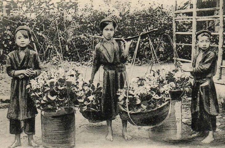 100 nam truoc, Phap nhin nhan nguoi Viet tan nhan? hinh anh