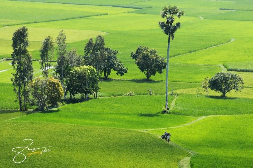 Hai cuon sach moi ve An Giang anh 2