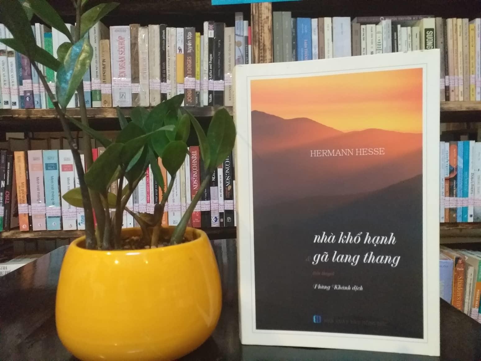 Nhung ga lang thang kiem tim nhuc duc trong moi chung ta hinh anh