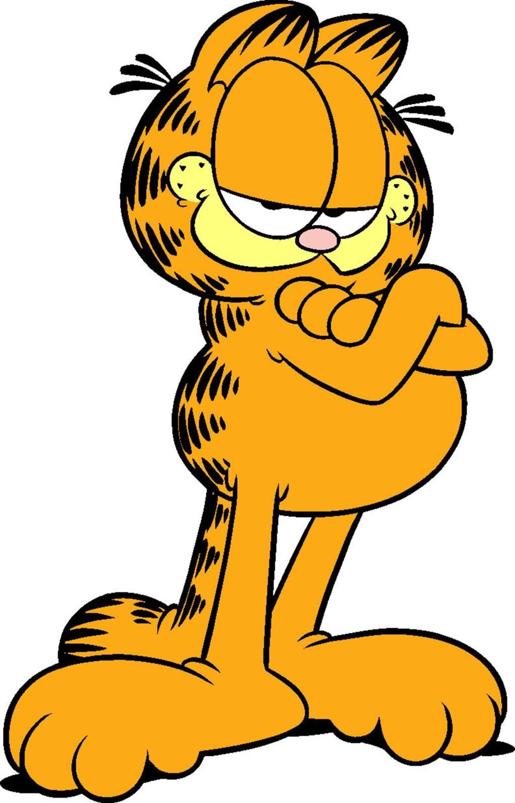 Qua trinh tao ra meo Garfield anh 1