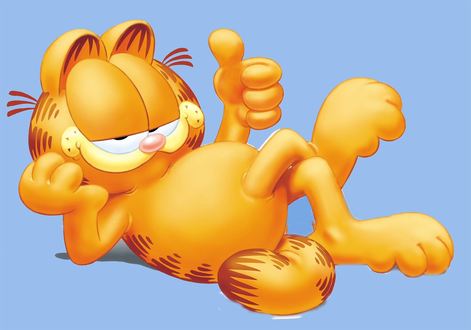 Meo sieu quay Garfield duoc 'ra doi' nhu the nao? hinh anh