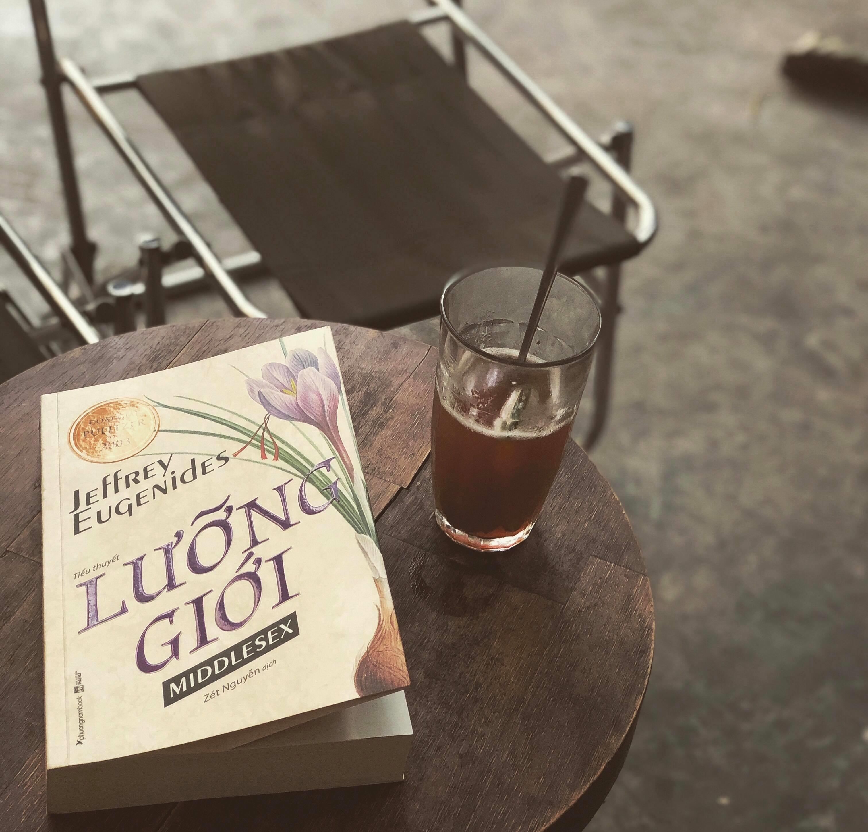 Review sach Luong gioi anh 2