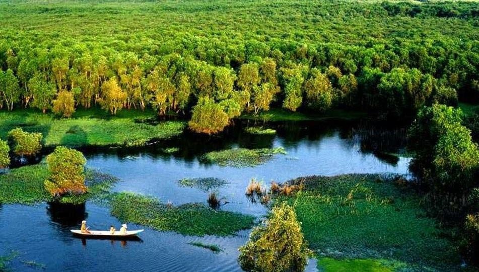 Dat U Minh qua ngoi but tac gia 9X anh 2