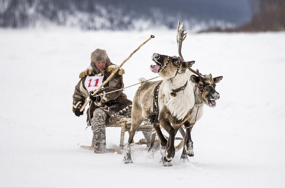 Chuyen tinh giua rung taiga huyen bi hinh anh