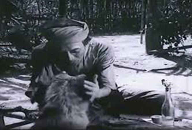 Kim Lan thu phuc chu cho vao vai cau Vang anh 3