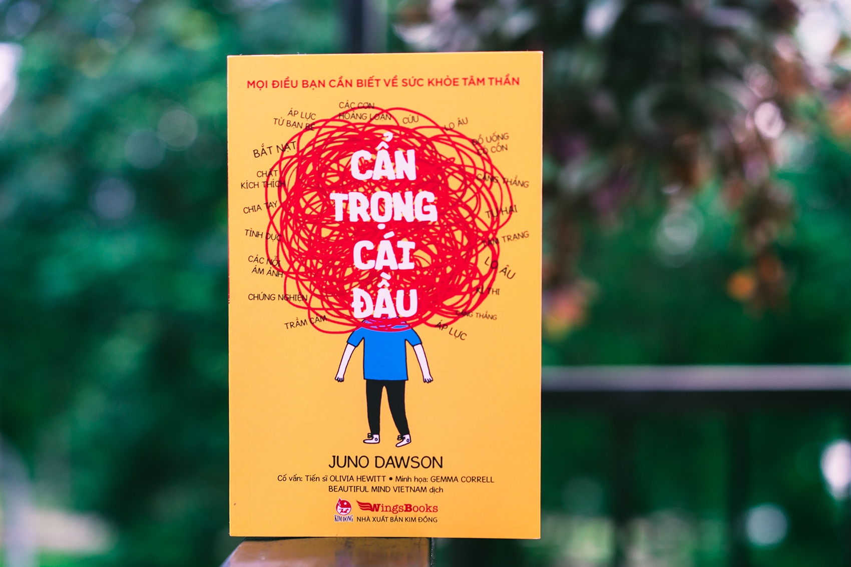 Cam nang ve benh ly tam than anh 1