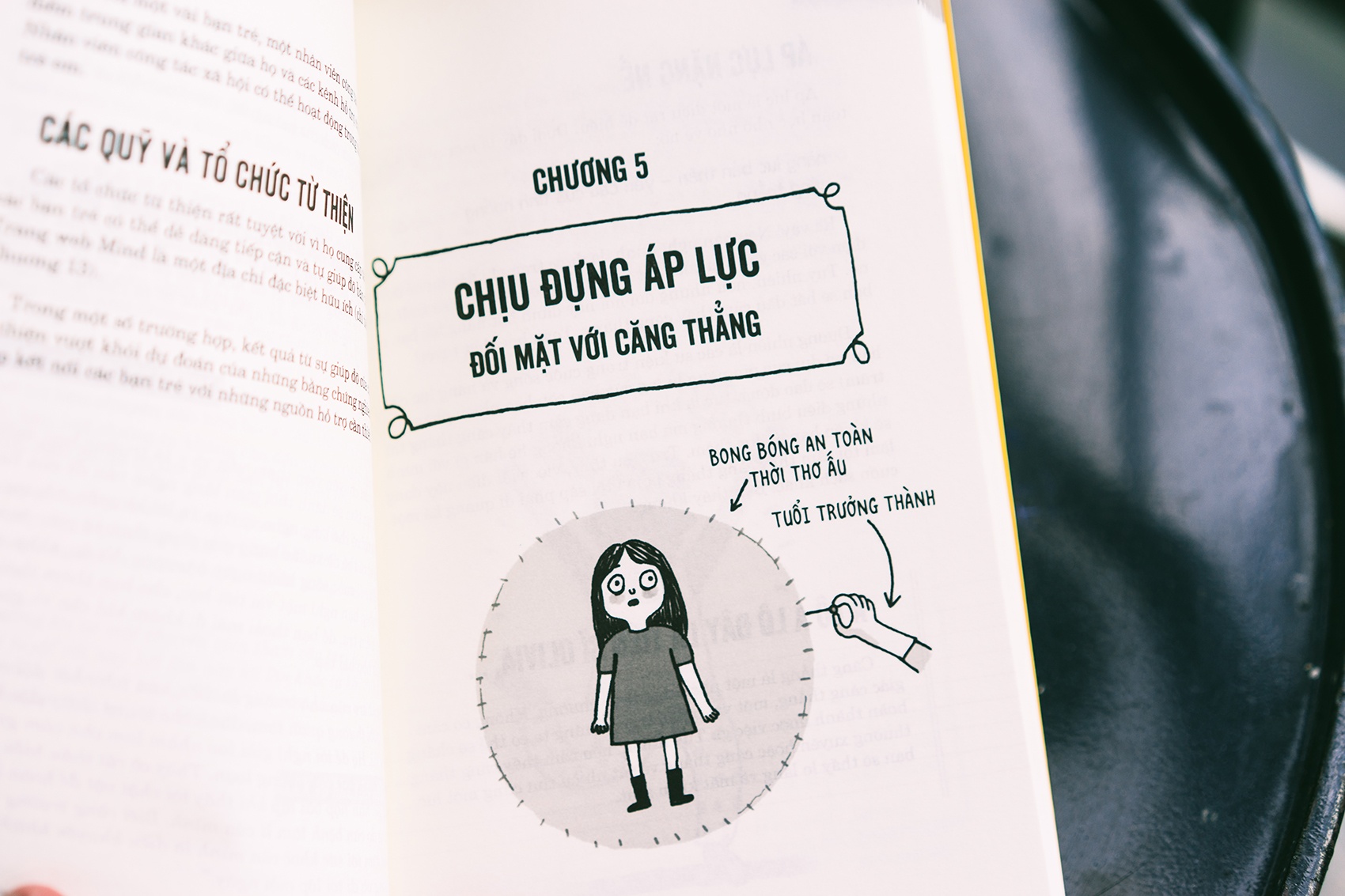 Cam nang ve benh ly tam than anh 2