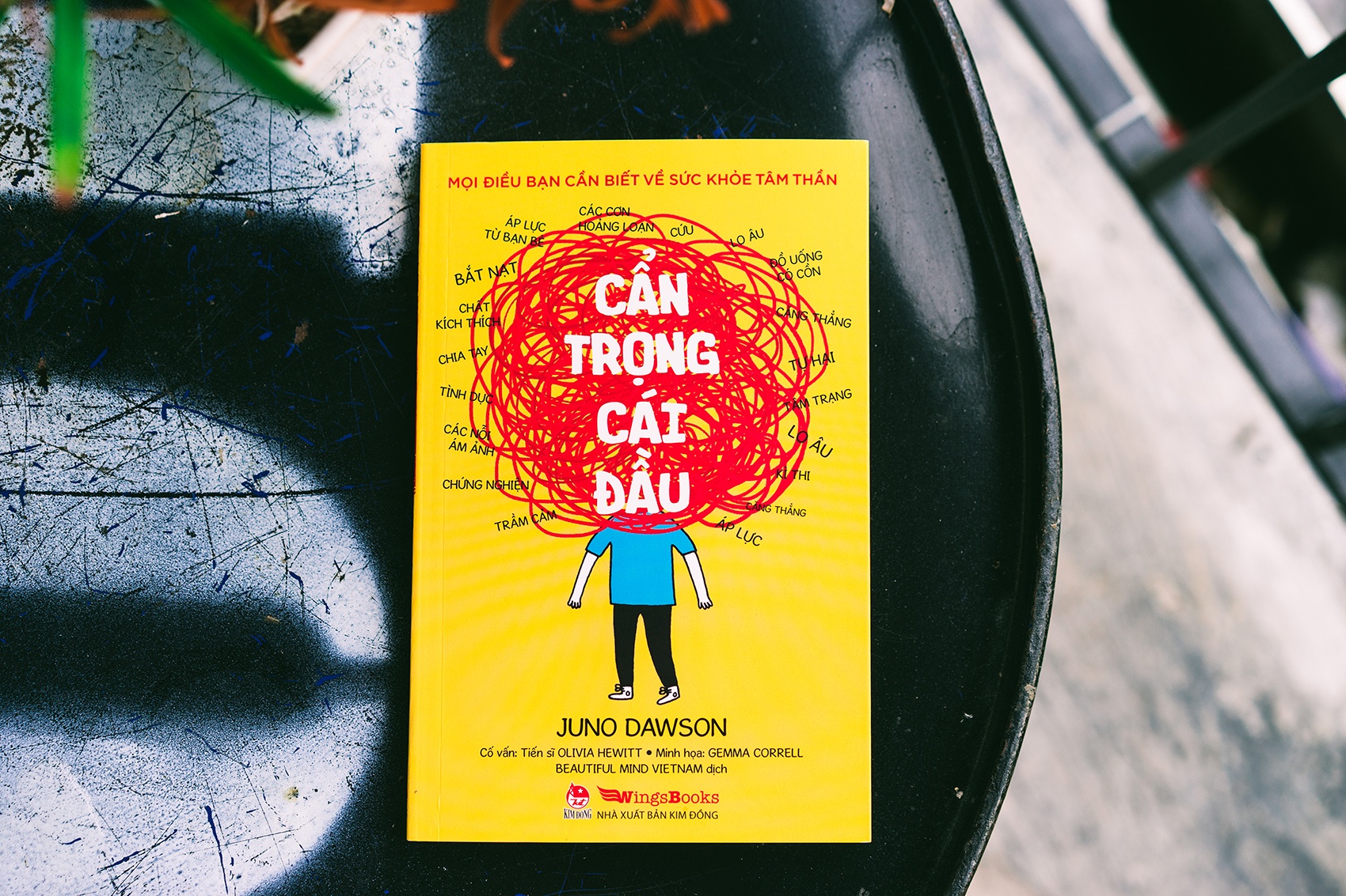 Cam nang ve benh ly tam than anh 3