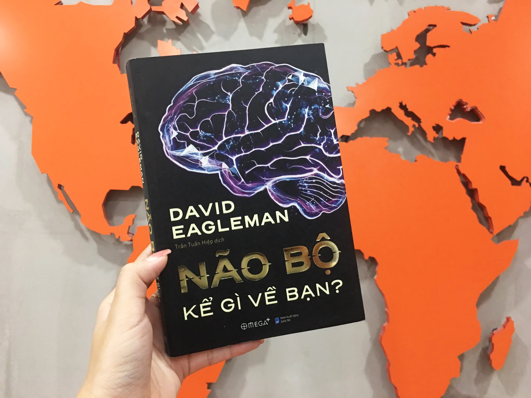 Não bộ kể gì về bạn? ảnh 1 Nao bo ke gi ve ban? anh 1